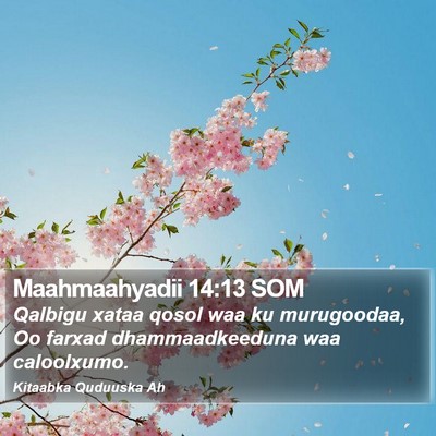 Maahmaahyadii 14:13 SOM Bible Verse Image