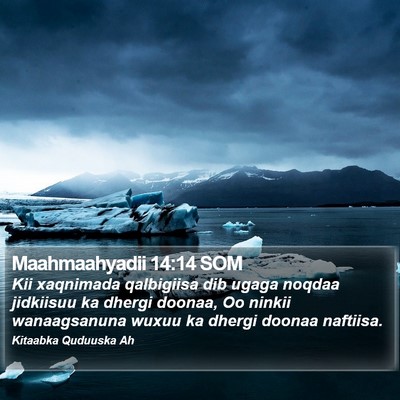 Maahmaahyadii 14:14 SOM Bible Verse Image