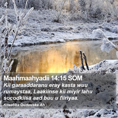 Maahmaahyadii 14:15 SOM Bible Verse Image