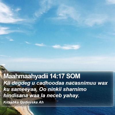 Maahmaahyadii 14:17 SOM Bible Verse Image
