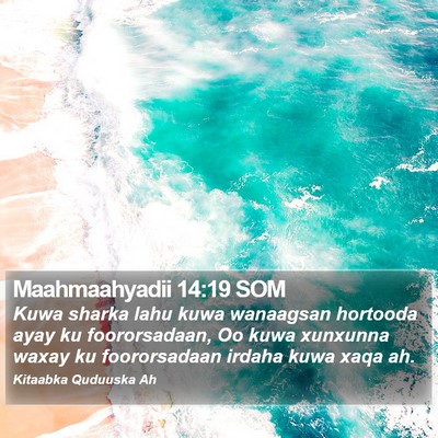Maahmaahyadii 14:19 SOM Bible Verse Image
