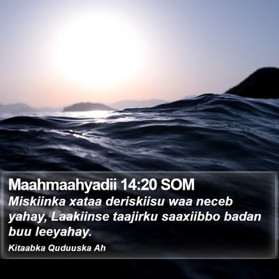 Maahmaahyadii 14:20 SOM Bible Verse Image