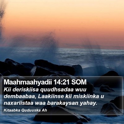 Maahmaahyadii 14:21 SOM Bible Verse Image