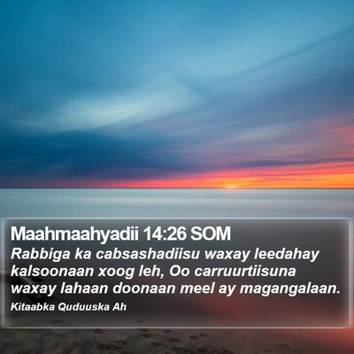 Maahmaahyadii 14:26 SOM Bible Verse Image