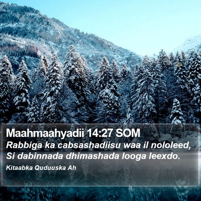 Maahmaahyadii 14:27 SOM Bible Verse Image