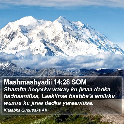 Maahmaahyadii 14:28 SOM Bible Verse Image
