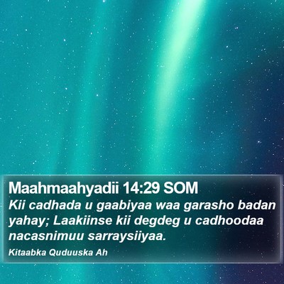 Maahmaahyadii 14:29 SOM Bible Verse Image