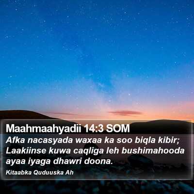 Maahmaahyadii 14:3 SOM Bible Verse Image