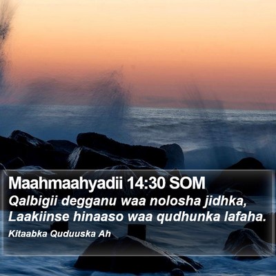 Maahmaahyadii 14:30 SOM Bible Verse Image