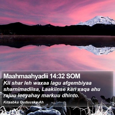 Maahmaahyadii 14:32 SOM Bible Verse Image