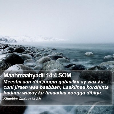 Maahmaahyadii 14:4 SOM Bible Verse Image