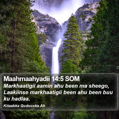 Maahmaahyadii 14:5 SOM Bible Verse Image