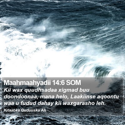 Maahmaahyadii 14:6 SOM Bible Verse Image