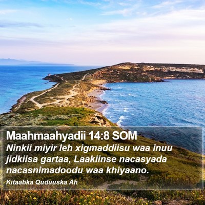 Maahmaahyadii 14:8 SOM Bible Verse Image