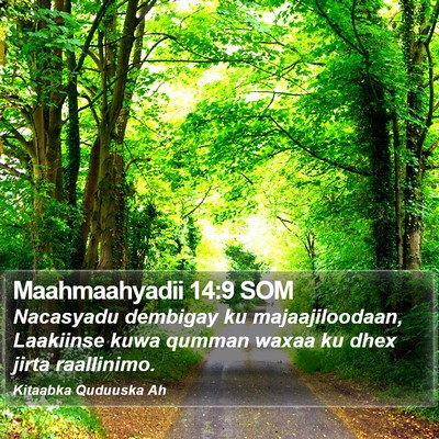 Maahmaahyadii 14:9 SOM Bible Verse Image