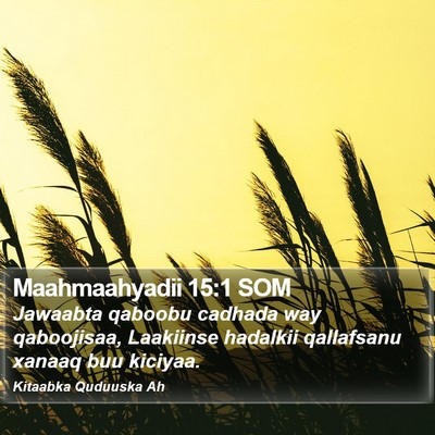 Maahmaahyadii 15:1 SOM Bible Verse Image