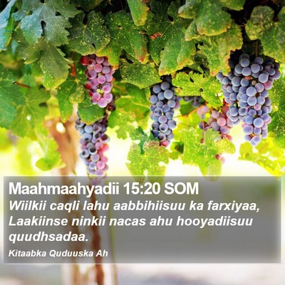 Maahmaahyadii 15:20 SOM Bible Verse Image