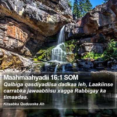 Maahmaahyadii 16:1 SOM Bible Verse Image