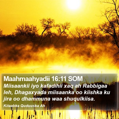 Maahmaahyadii 16:11 SOM Bible Verse Image
