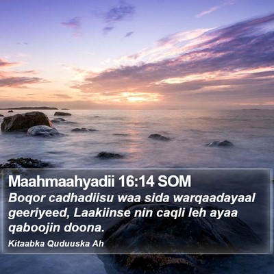 Maahmaahyadii 16:14 SOM Bible Verse Image