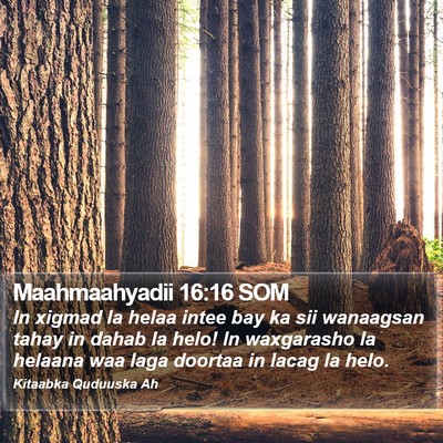 Maahmaahyadii 16:16 SOM Bible Verse Image