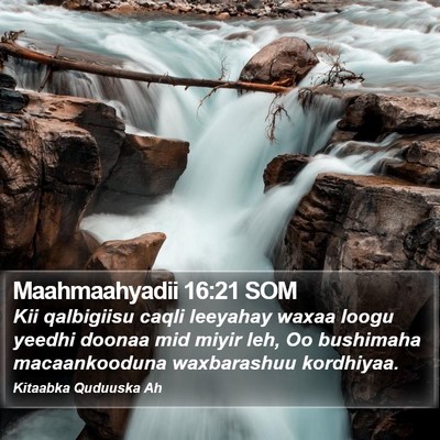 Maahmaahyadii 16:21 SOM Bible Verse Image