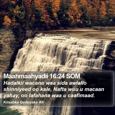Maahmaahyadii 16:24 SOM Bible Verse Image