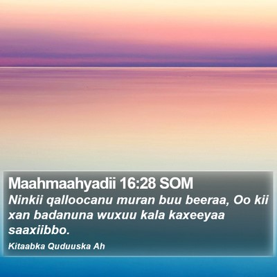 Maahmaahyadii 16:28 SOM Bible Verse Image