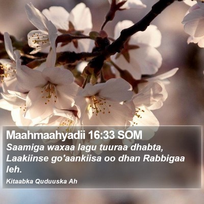 Maahmaahyadii 16:33 SOM Bible Verse Image