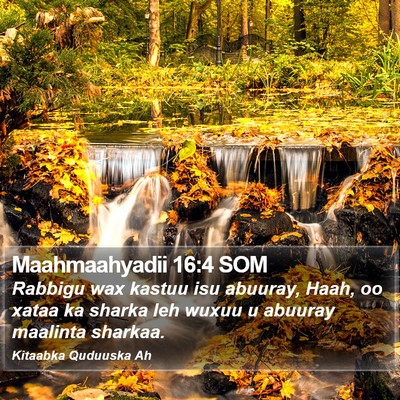 Maahmaahyadii 16:4 SOM Bible Verse Image