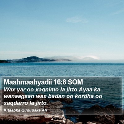 Maahmaahyadii 16:8 SOM Bible Verse Image