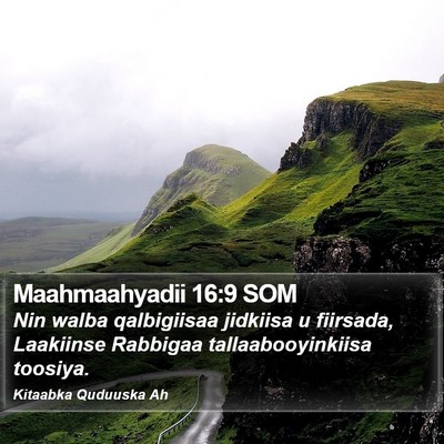 Maahmaahyadii 16:9 SOM Bible Verse Image