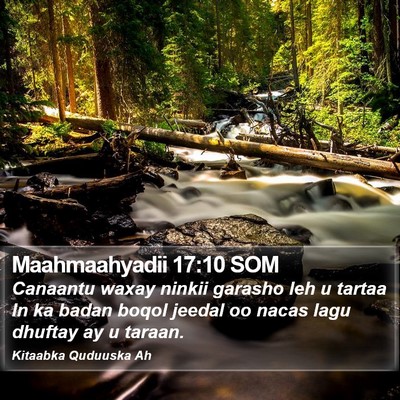 Maahmaahyadii 17:10 SOM Bible Verse Image