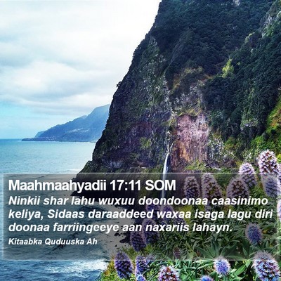 Maahmaahyadii 17:11 SOM Bible Verse Image