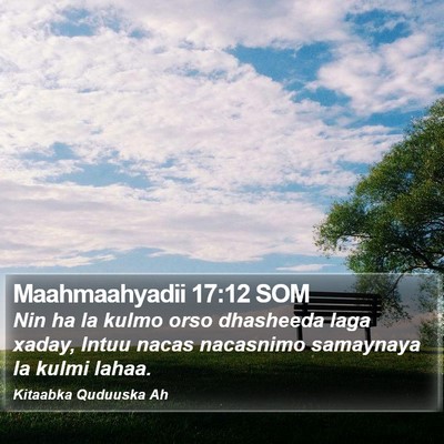 Maahmaahyadii 17:12 SOM Bible Verse Image