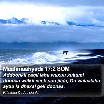 Maahmaahyadii 17:2 SOM Bible Verse Image