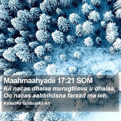 Maahmaahyadii 17:21 SOM Bible Verse Image