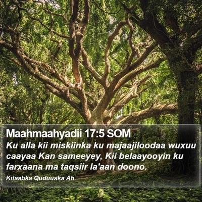 Maahmaahyadii 17:5 SOM Bible Verse Image