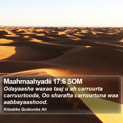 Maahmaahyadii 17:6 SOM Bible Verse Image