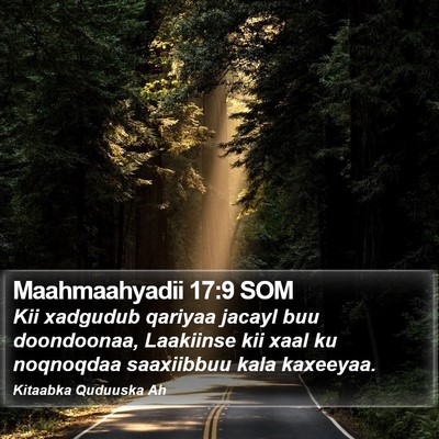 Maahmaahyadii 17:9 SOM Bible Verse Image