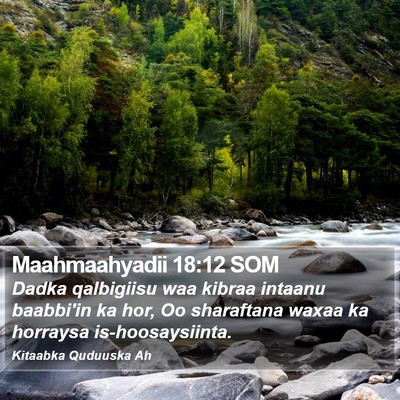 Maahmaahyadii 18:12 SOM Bible Verse Image
