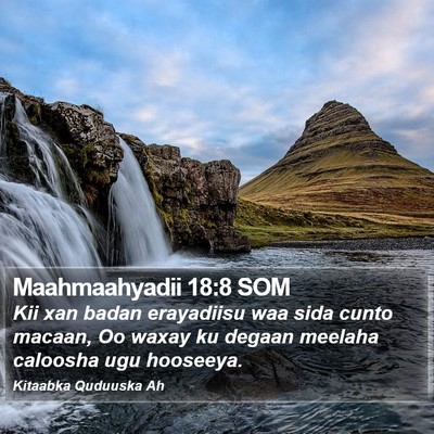 Maahmaahyadii 18:8 SOM Bible Verse Image