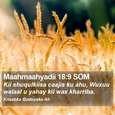 Maahmaahyadii 18:9 SOM Bible Verse Image