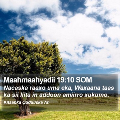 Maahmaahyadii 19:10 SOM Bible Verse Image