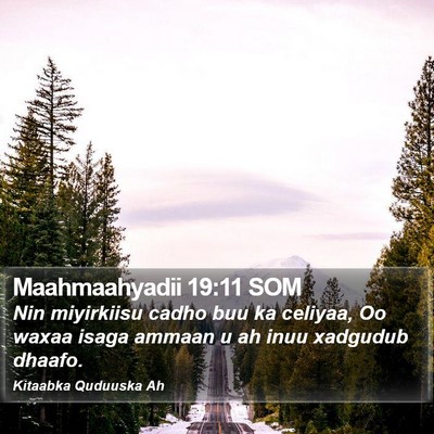 Maahmaahyadii 19:11 SOM Bible Verse Image