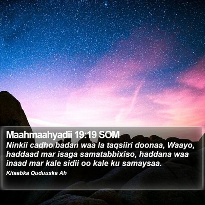 Maahmaahyadii 19:19 SOM Bible Verse Image