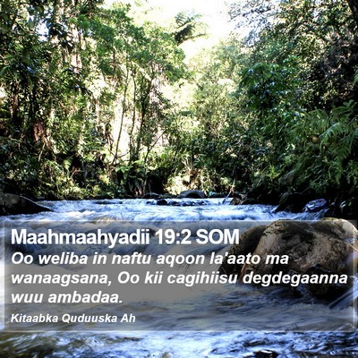 Maahmaahyadii 19:2 SOM Bible Verse Image