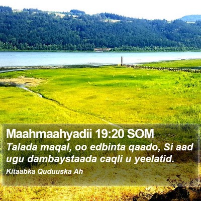 Maahmaahyadii 19:20 SOM Bible Verse Image