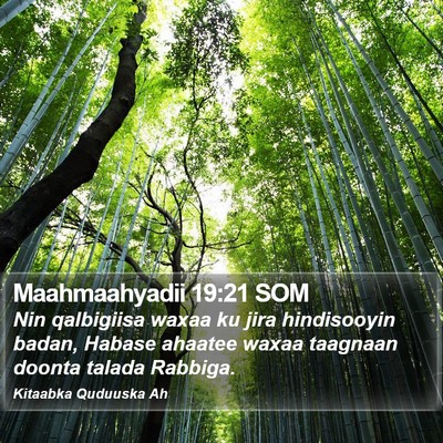 Maahmaahyadii 19:21 SOM Bible Verse Image