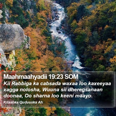 Maahmaahyadii 19:23 SOM Bible Verse Image